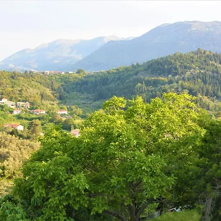 View House